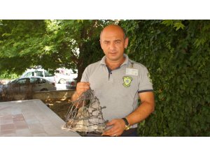 Yaralı atmaca tedavi edilecek