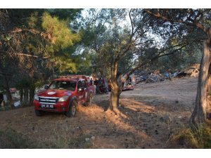 Ayvalık Tabiat Parkı’nda çıkan samanlık yangını ilçeyi alarma geçirdi