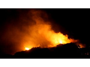 Aydın'da makilik alanda yangın