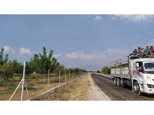 Kamyonun sürücü kabininin üstünde tehlikeli yolculuk