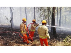 Kumluca’da orman yangını