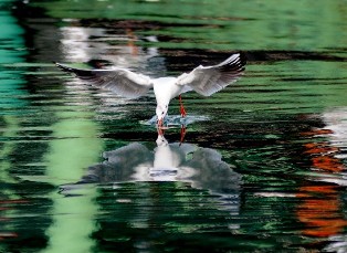 Hayran kalacaksınız  Foto Galeri