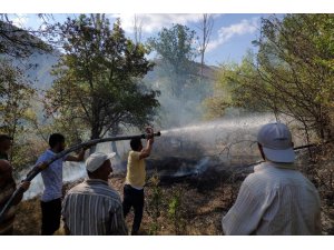 Gümüşhane’de rüzgarın kırdığı kavak ağacı yüksek gerilim hattına düştü