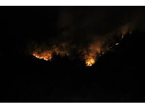 Hatay’da kontrol altına alınan orman yangını yeniden alevlendi