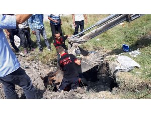 Çukura düşen at ve yavrusu kurtarıldı