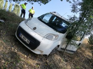Hafif ticari araç yoldan çıktı : 1 yaralı