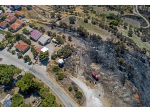 İzmir'de yanan ormanlık alanlar havadan görüntülendi
