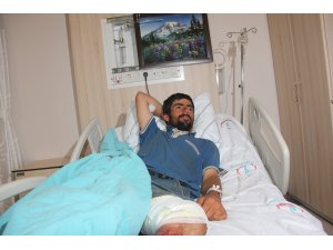 Ayı saldırısına uğrayan çoban yaralandı