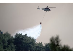 Bakan Pakdemirli: “Bu gece ilk defa koordinasyon amacıyla gece uçuşu gerçekleşecek”
