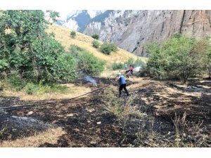 Hakkari’de anız yangını