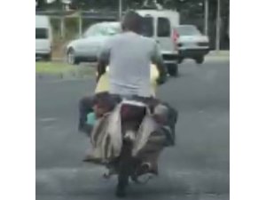 Motosikletin heybesinde tehlikeli yolculuk