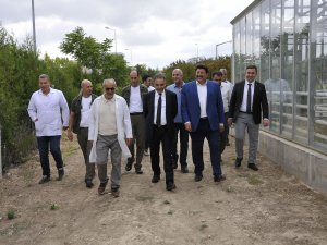 Vali Toprak seraları gezdi