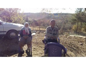 Ağaçtan düşen yaşlı kadın hayatını kaybetti