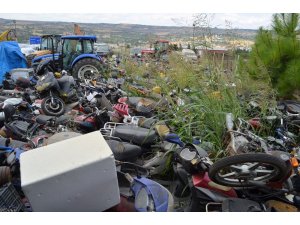 Çürüyen milli serveti inek küpeleriyle koruyor