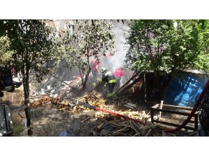 Vatandaşların çabası hayvanların telef olmasını önledi