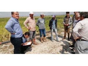 Niğde’de 20 dekarlık tarım arazisi doludan zarar gördü