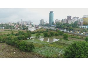 Ataşehir’de su basan seralar havadan görüntülendi