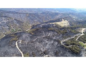 53 saatlik yangından geriye yürek yakan görüntüler kaldı