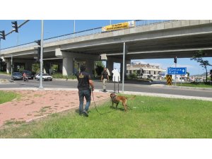 Takma dişleri, kayıp adam için umut oldu