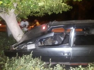 Köpeğe çarpmamak için refüjdeki ağaca çarptı