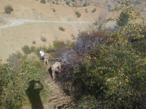 Fıstık bahçelerinde çıkan yangın, güvenlik güçlerinin müdahalesiyle söndürüldü