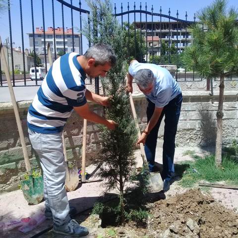 Müslime-Ali Yaman İlkokulundan ağaçlandırma kampanyası