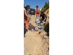 Bu araçtan sağ çıktılar