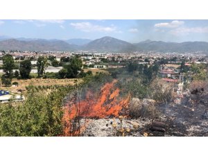 Fethiye’de makilik alanda yangın