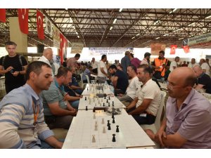 Damada heyecan başlıyor
