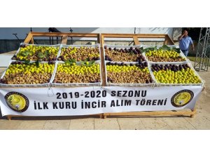 Nazilli’de sezonun ilk inciri 250 TL’den alıcı buldu