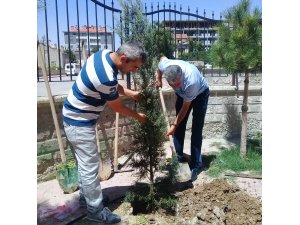 Müslime-Ali Yaman İlkokulundan ağaçlandırma kampanyası