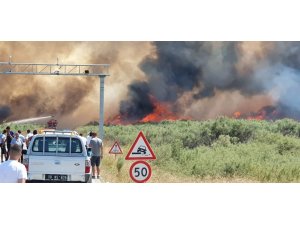 Edremit Sahili alev alev