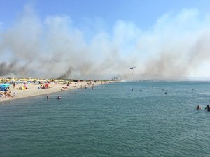 GÜNCELLEME 3 - Edremit Körfezi'nde sazlık alanda yangın