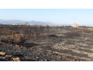 Sazlık yangını 4 saat sonra söndürüldü
