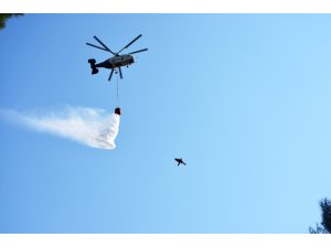 GÜNCELLEME 2 - Marmaris'te orman yangını