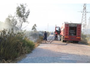 Makilik alandaki yangında mahsur kalan bukalemunu itfaiye kurtardı