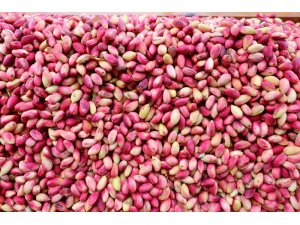 Antep fıstığı cep yakıyor