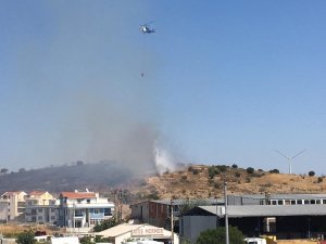 Otluk alanda yangın paniği