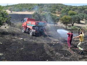 Aliağa’daki yangının, ormanlık alana sıçramaması için büyük mücadele