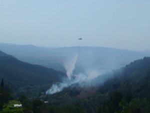 Osmaniye’de 1,5 hektarlık çam ve makilik alan yandı