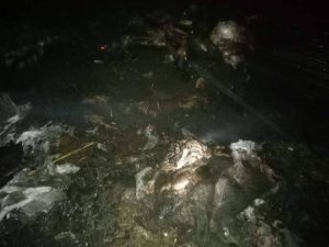 Ahır yangınında 120 küçükbaş hayvan telef oldu