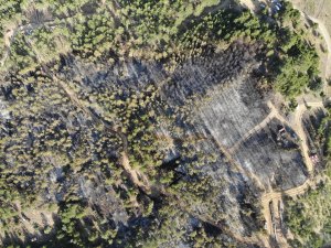 GÜNCELLEME - Kütahya'da orman yangını