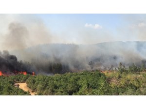 Bakan Pakdemirli Edirne'deki yangın bölgesinde inceleme yaptı