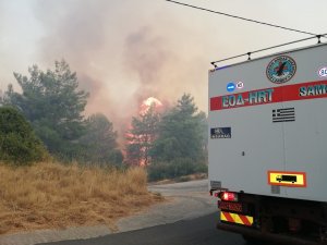 Sisam Adası yanıyor