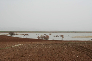 Su seviyesindeki artış hüsrana uğrattı!