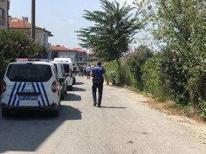 Sakarya'da mısır tarlasında erkek cesedi bulundu