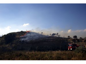 Hatay'da zeytinlik alanda yangın