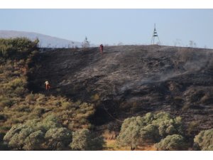 Hatay’da çıkan yangında 4 hektarlık alan kül oldu