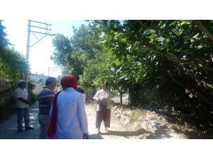 Efeler’de ilek ağaçları incelendi