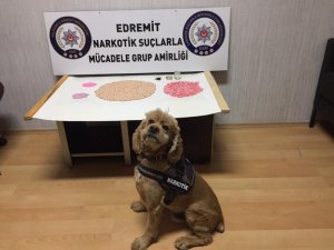 Balıkesir polisinden büyük uyuşturucu operasyonuı